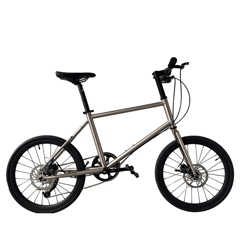 Sepeda Anak Laki-laki 20 Inci, - Cycling Gear Inches ulasan dan harga