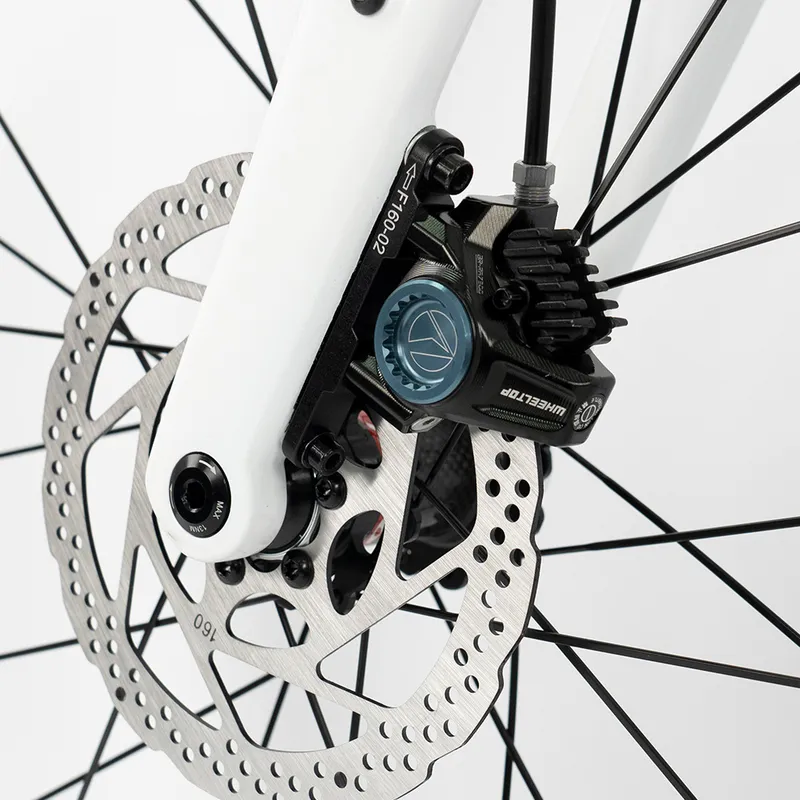 Sepeda Jalan Raya Serat Karbon - Cycling Gear Inches ulasan dan harga